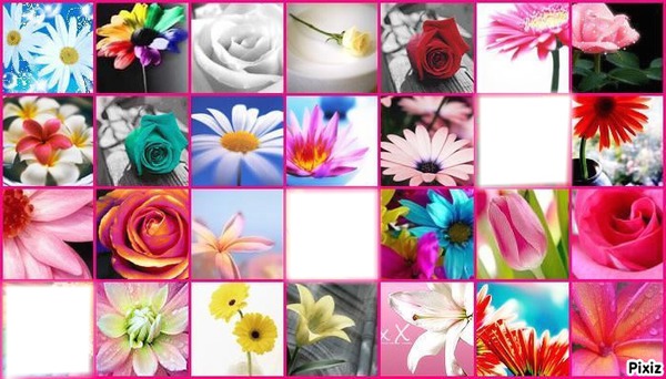 <patchwork de fleurs Photomontage