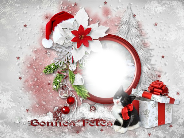 chat chat de noel Montage photo