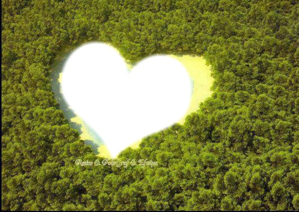 au coeur de la forêt Фотомонтажа