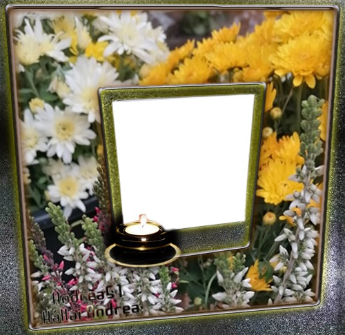 Andrea51 /My own flower and my photo. Creative picture frame Andrea51 work. In memory of my mother.❤/ Fotómontázs