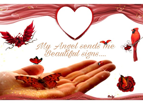 my angel sends me beautiful signs Photo frame effect