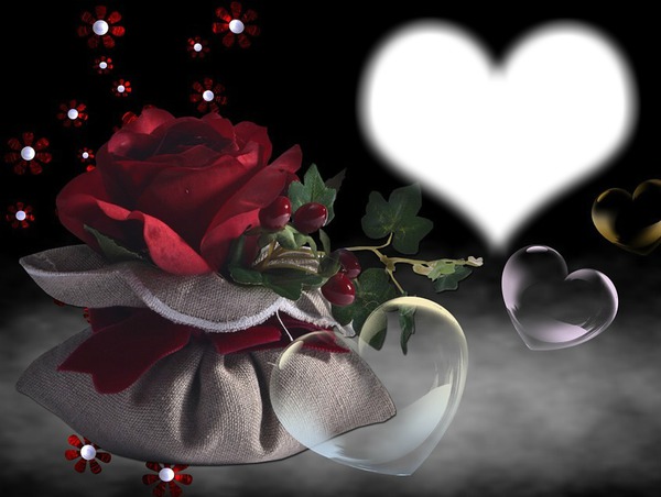 Amour-rose rouge-coeurs Photomontage