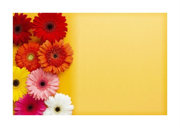 frame flower Photomontage
