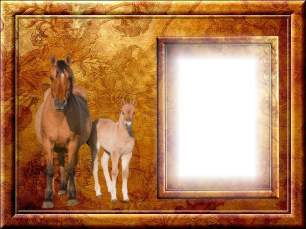 Cadre chevaux Photo frame effect