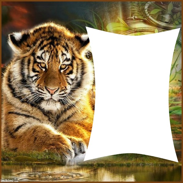 Tiger Fotomontāža