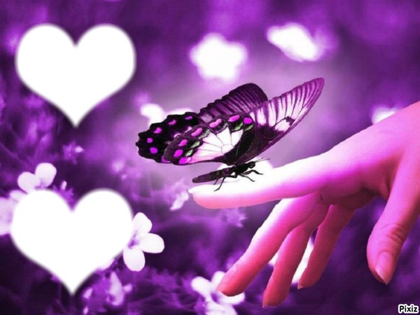 coeurs - Papillon sur un doigt Photo frame effect