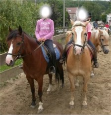 cheval amie Fotomontaż