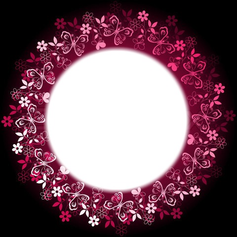 Pinky flowers Photo frame effect
