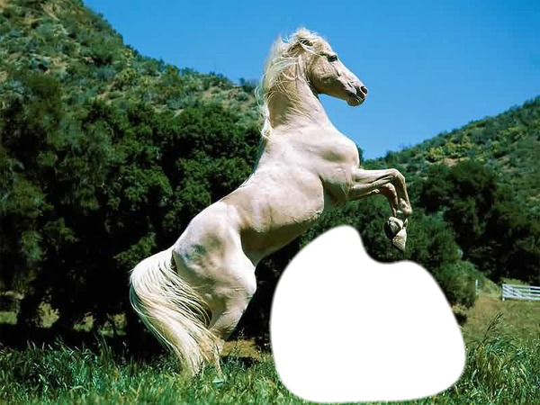 mon cheval Fotomontaggio