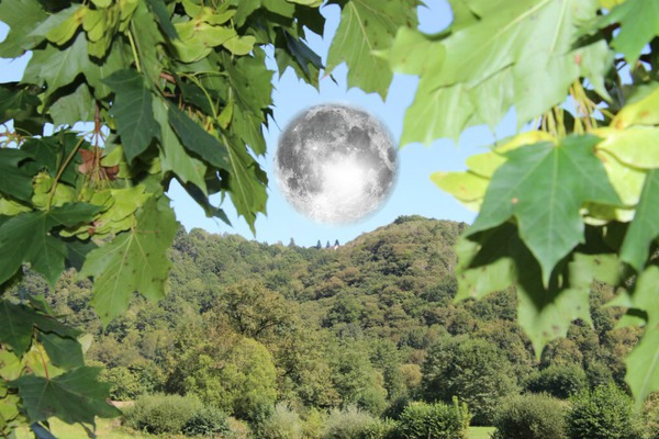 lune coeur Fotomontáž
