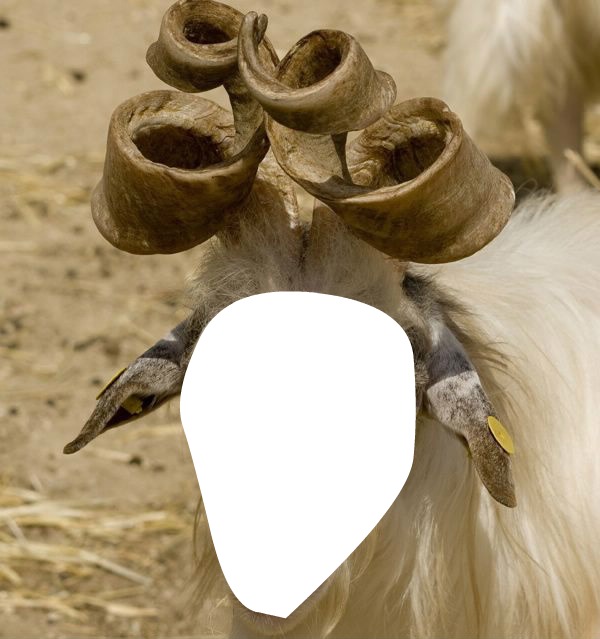 goat horn Fotomontāža
