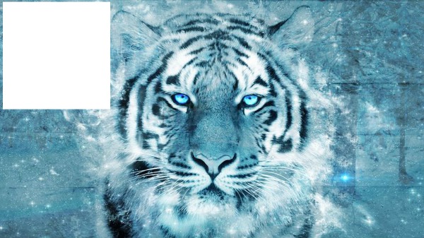 tigre blanc adulte Montaje fotografico