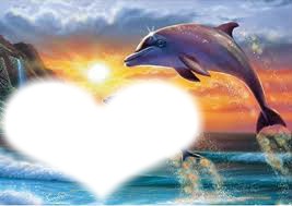 cœur du dauphin フォトモンタージュ