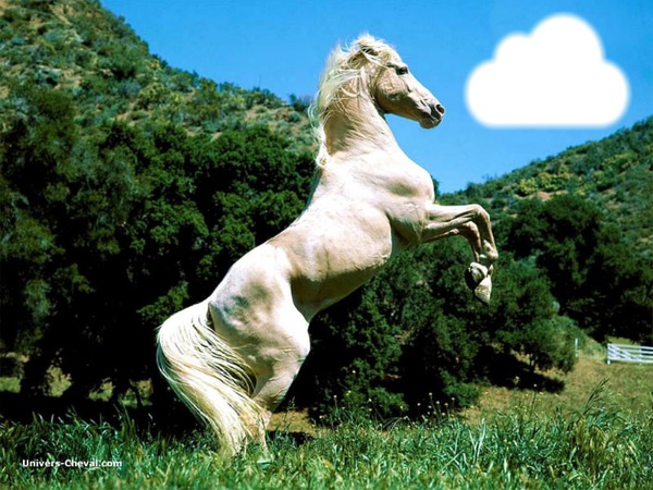cheval nuage Fotomontaggio