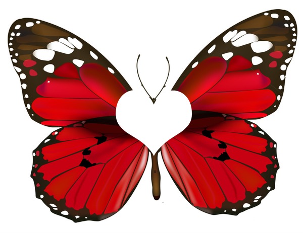 Love Butterfly Photomontage