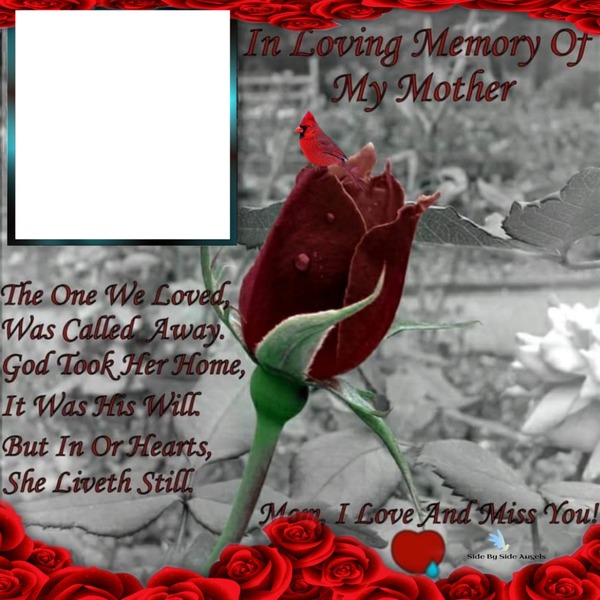 in loving memory of my mother Valokuvamontaasi