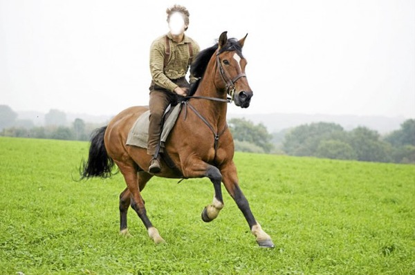 cheval de guerre Fotomontáž