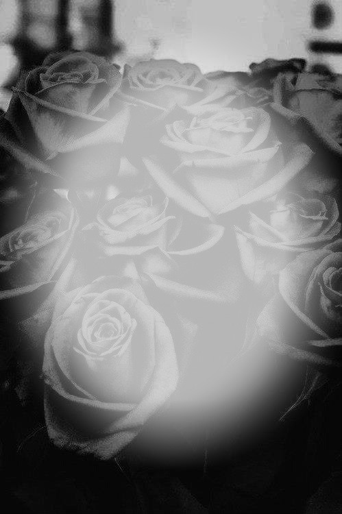 rose noir Fotomontaż