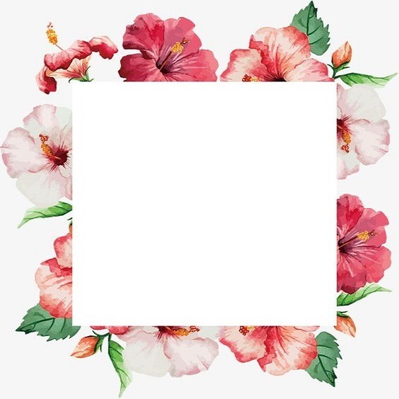 marco sobre flores rosadas. Photomontage