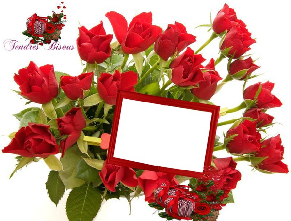 Cadre de roses rouge Фотомонтаж