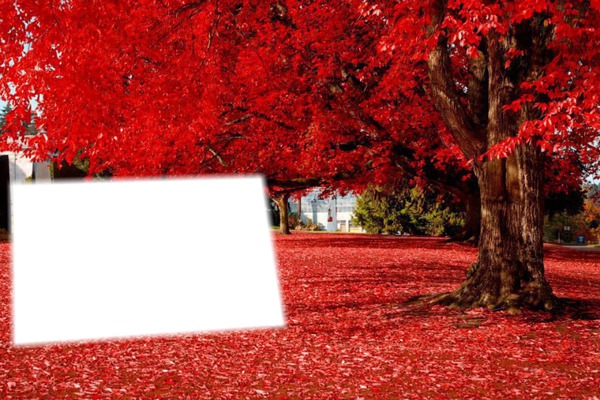 árbol rojo Fotomontáž