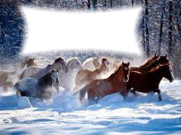cheval en hiver Фотомонтаж