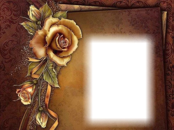 Cadre-fleur-rose-fond brun Photo frame effect