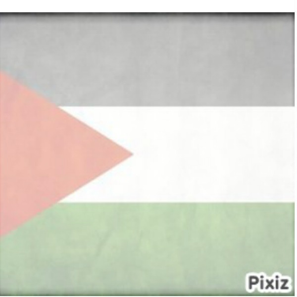 drapeaux palestine Фотомонтаж