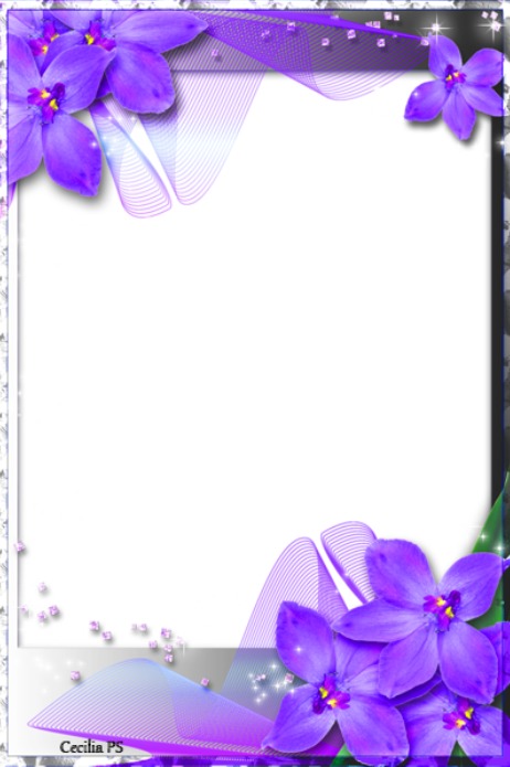Cc Marco con flores lilas. Photo frame effect