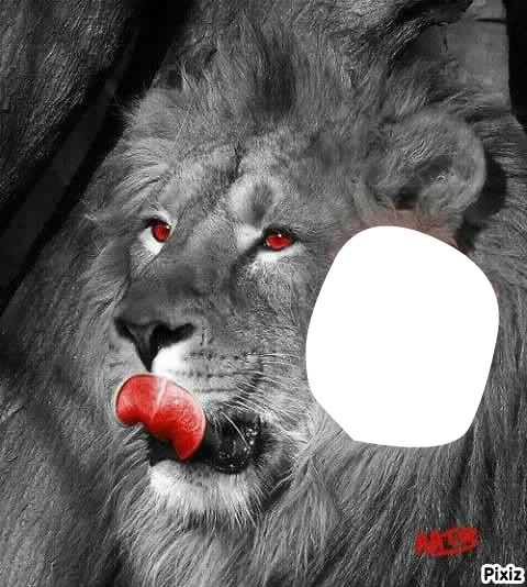 lion Фотомонтажа