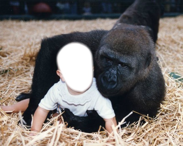 El niño y el gorila Montaje fotografico