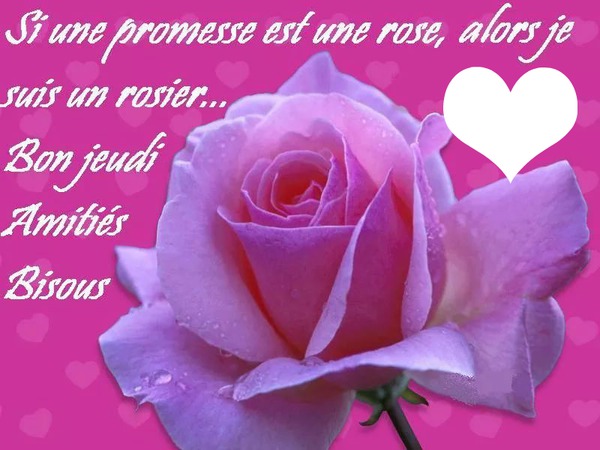 rose texte Photo frame effect