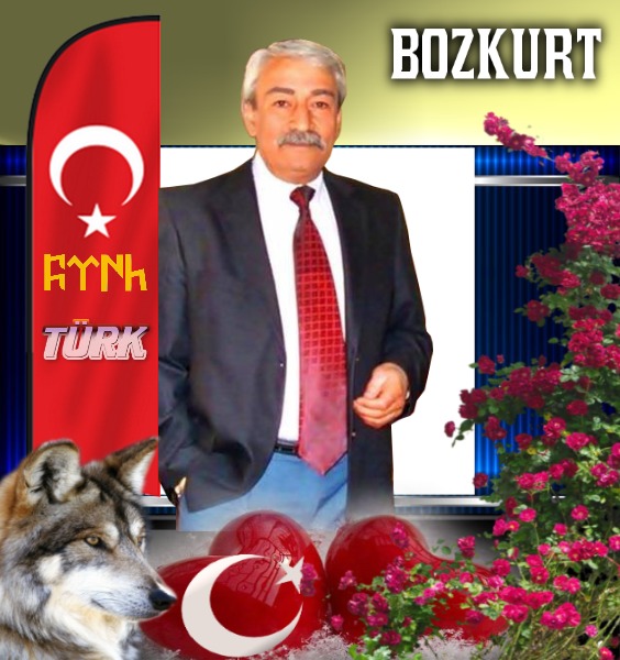 bozkurt türk bayrağı. Fotomontažas