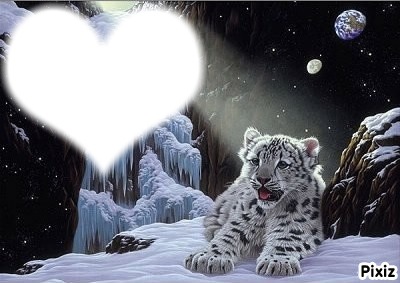 amour de tigre Photomontage