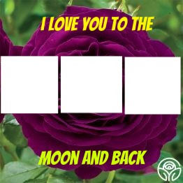 i love you to the moon and back Fotomontasje