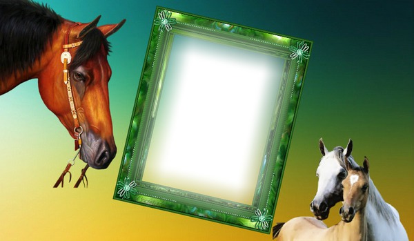 Cadre Chevaux Photo frame effect