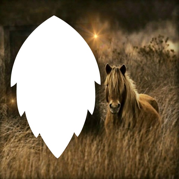 le mustang Photomontage