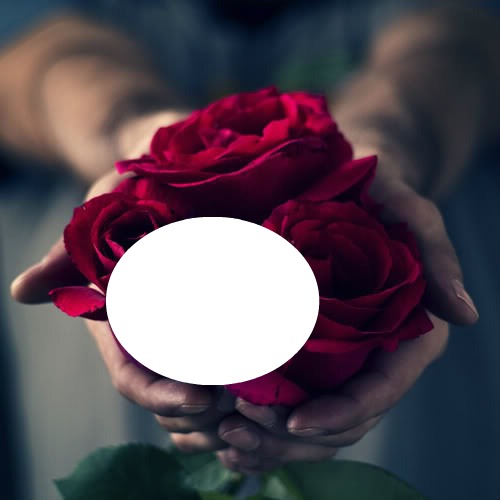 toma estas rosas Fotomontage