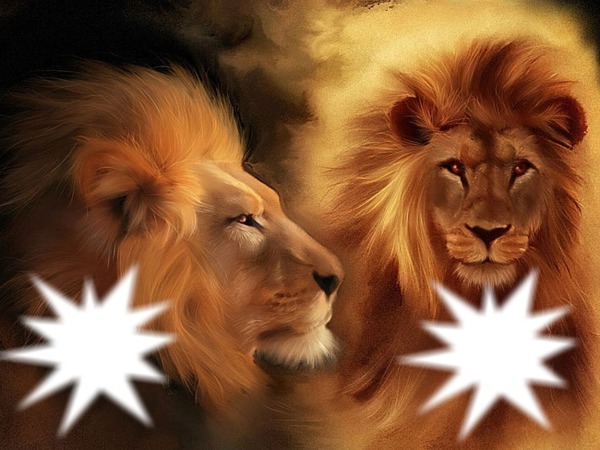 aslan kiral Photomontage