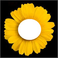 flowers face Photo frame effect