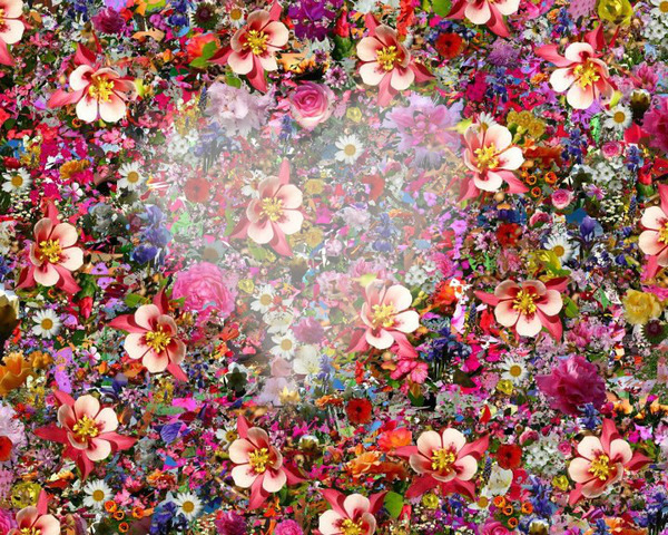 coeur fleuri Fotomontage