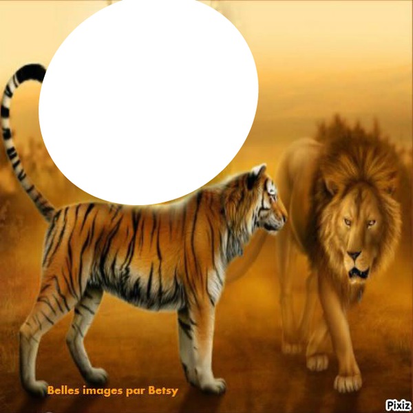 tigre et lion Fotomontaggio