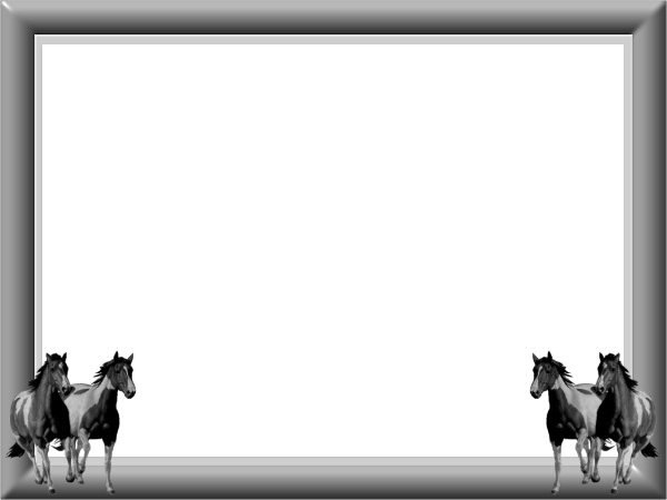 Cadre chevaux noir Photo frame effect
