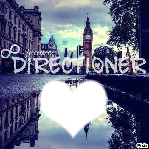 forever directioner Montage photo