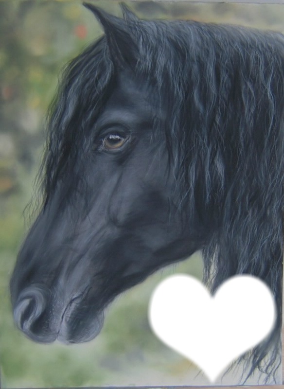 cheval amour Fotomontaža