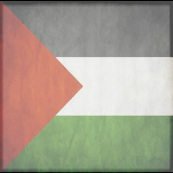 drapeaux palestine Valokuvamontaasi