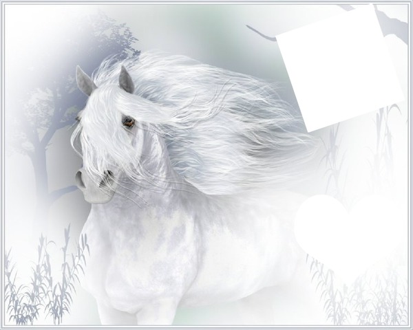 cheval d ange Photomontage