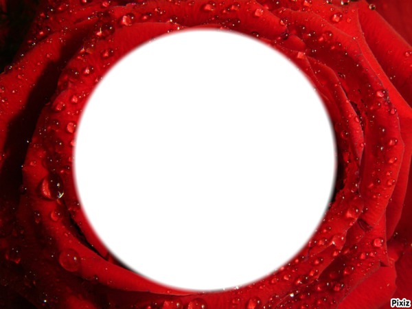 rose rouge Photomontage