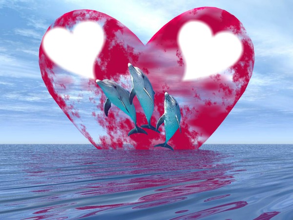 dauphin au fond de coeur Photo frame effect