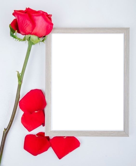 Día de la madre, marco, pétalos y rosa rojas. Photo frame effect